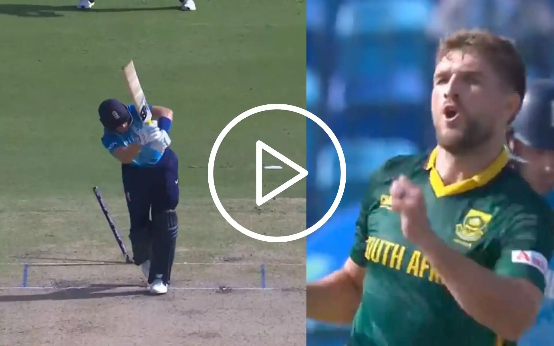 [Watch] Joe Root's Off-Stump Goes For A Toss As Mulder Rejoices After Getting The Big Fish